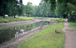 1992 Central Canal (west of Central shown) drained when bank tears open